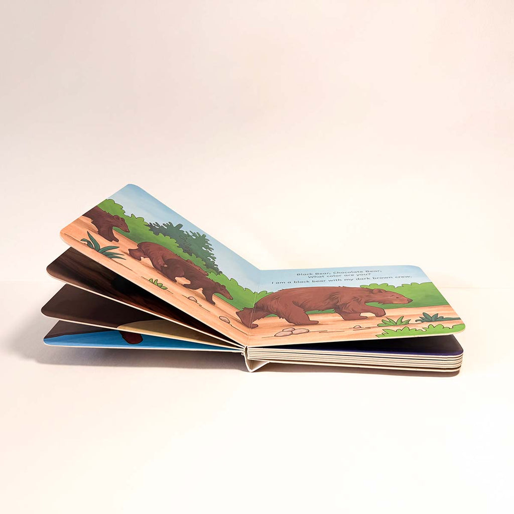 Black Bear, Black Bear What Color Are You? - Board Book