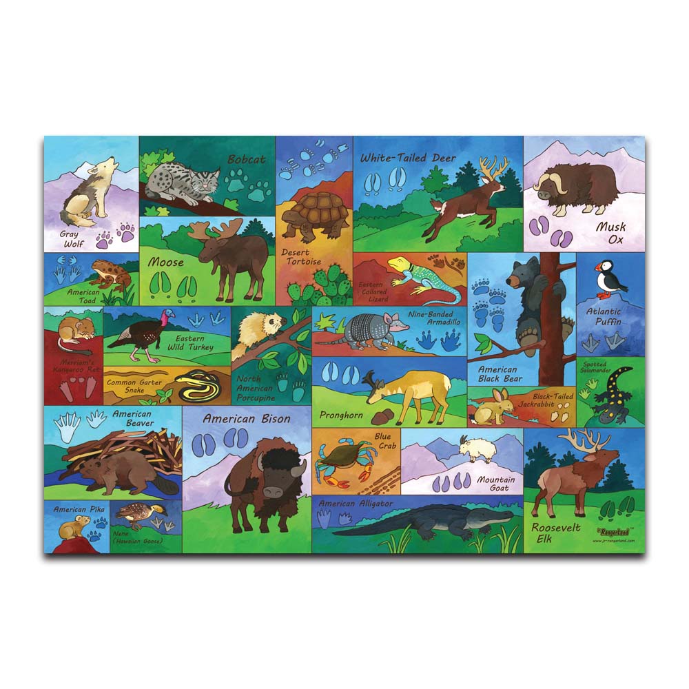 North American Animal Tracks Puzzle - 250 Piece
