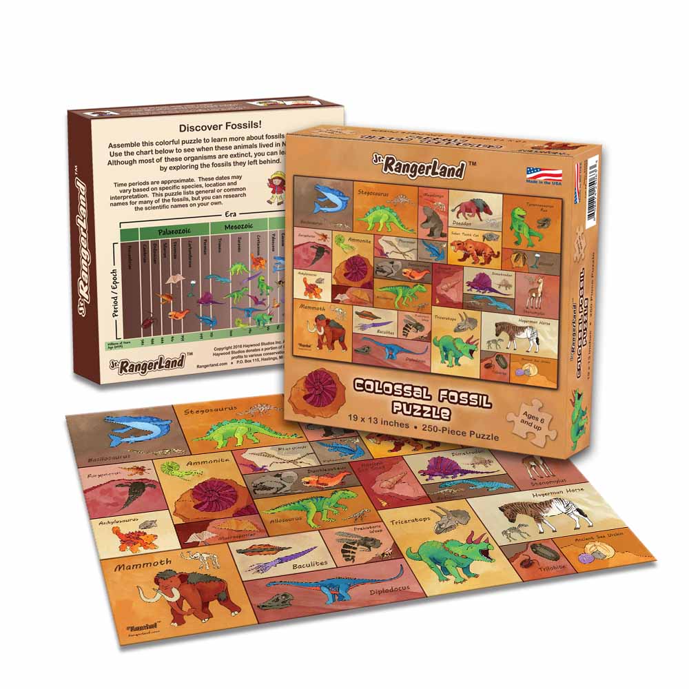 Colossal Fossil Puzzle - 250 Piece