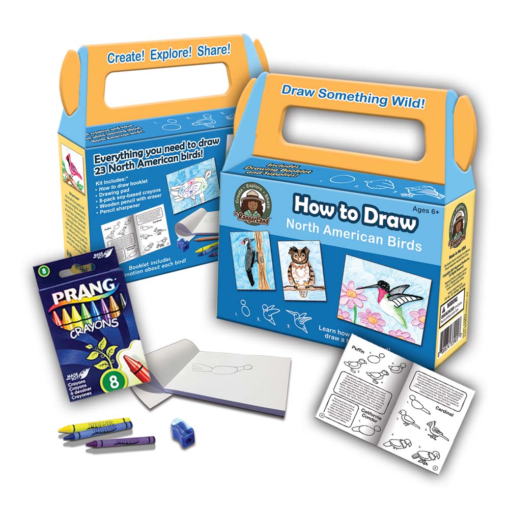 How to Draw North American Birds Art Kit