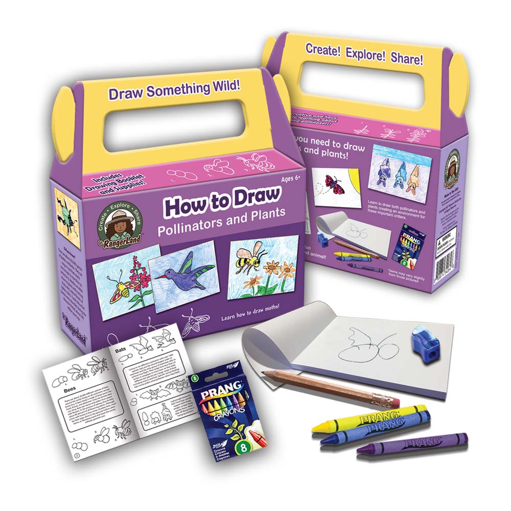 How to Draw Pollinators and Plants Art Kit