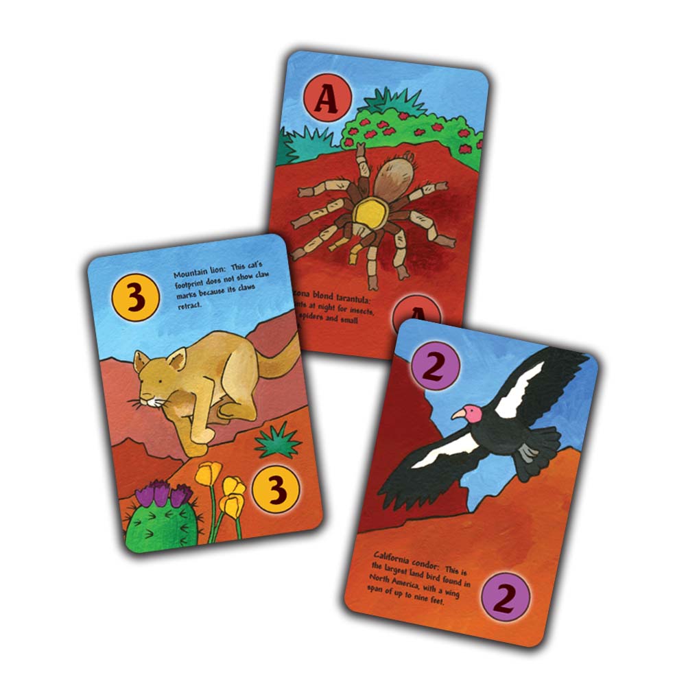 Southwest Slap Jack Card Game