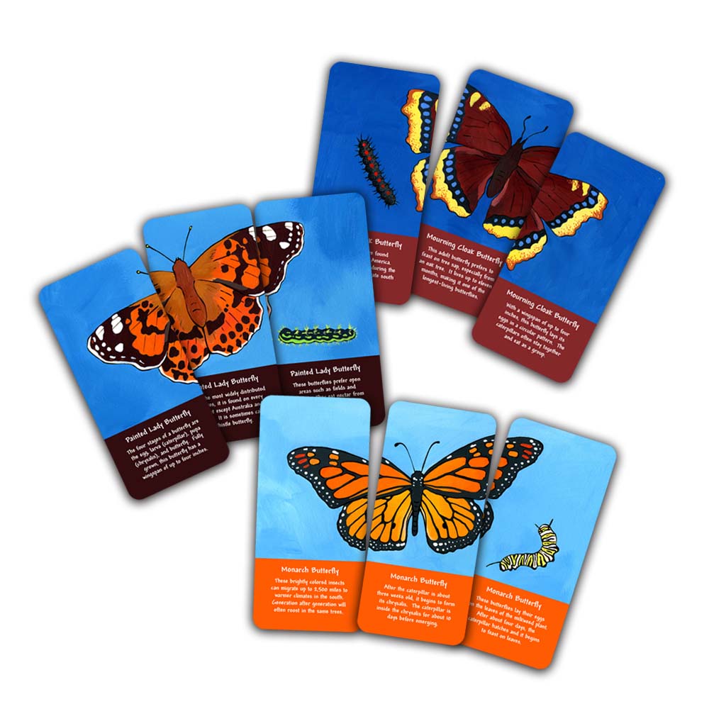 Moth and Butterfly Blitz Card Game