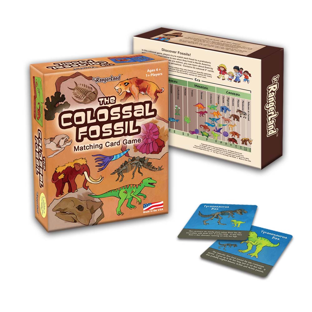 Colossal Fossil Matching Card Game