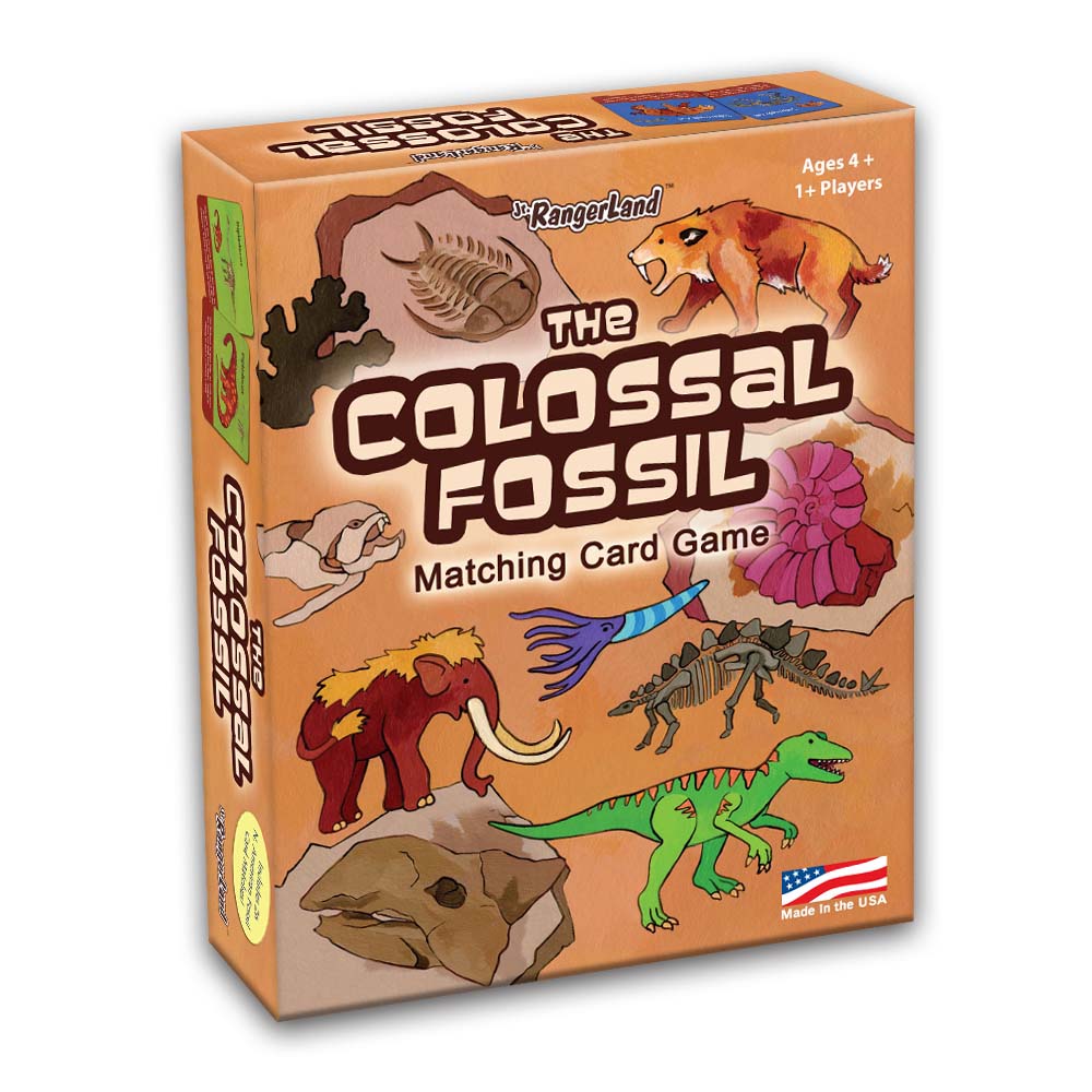 Colossal Fossil Matching Card Game