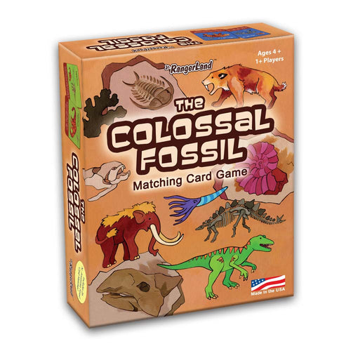 Colossal Fossil Matching Card Game
