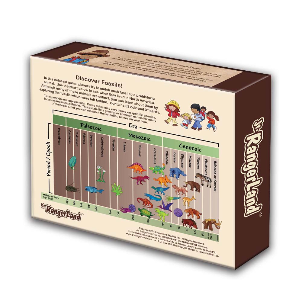 Colossal Fossil Matching Card Game