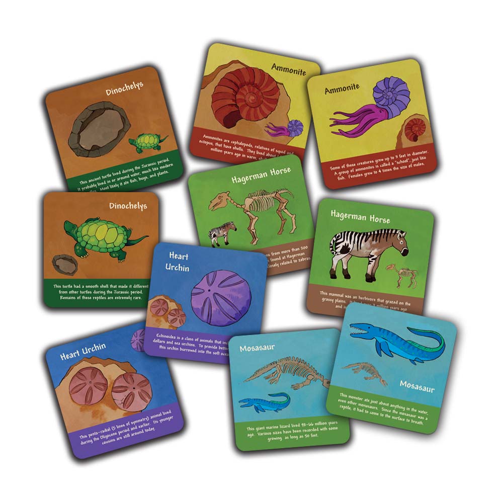Colossal Fossil Matching Card Game